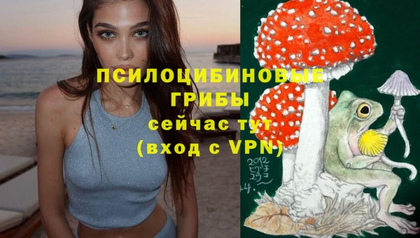 a pvp Алексин