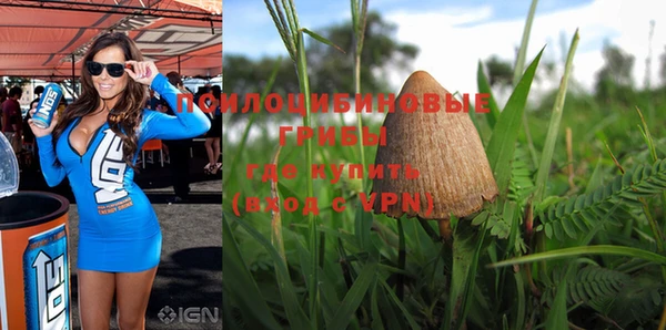 a pvp Алексин
