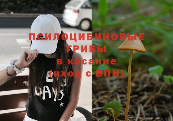 таблы Алексеевка