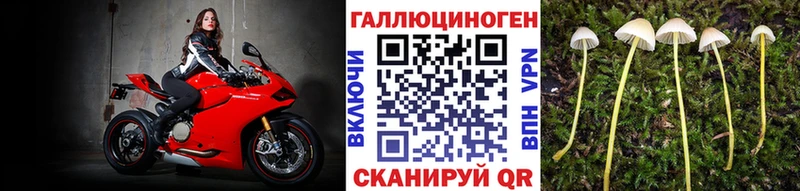 где найти   Салехард  Галлюциногенные грибы прущие грибы 